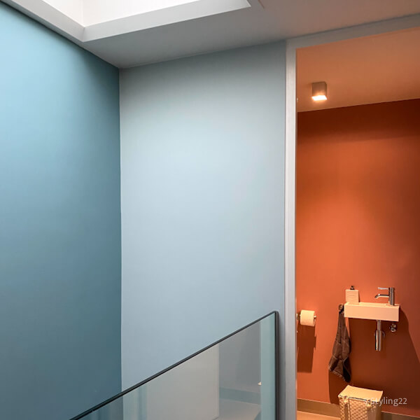 twee tinten blauw op de wanden en in aangrenzend toilet een terra kleur. prachtige combi. kleuradvies by Mandy-Styling22